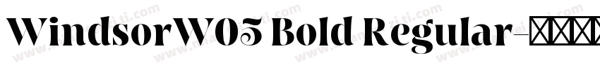 WindsorW05 Bold Regular字体转换